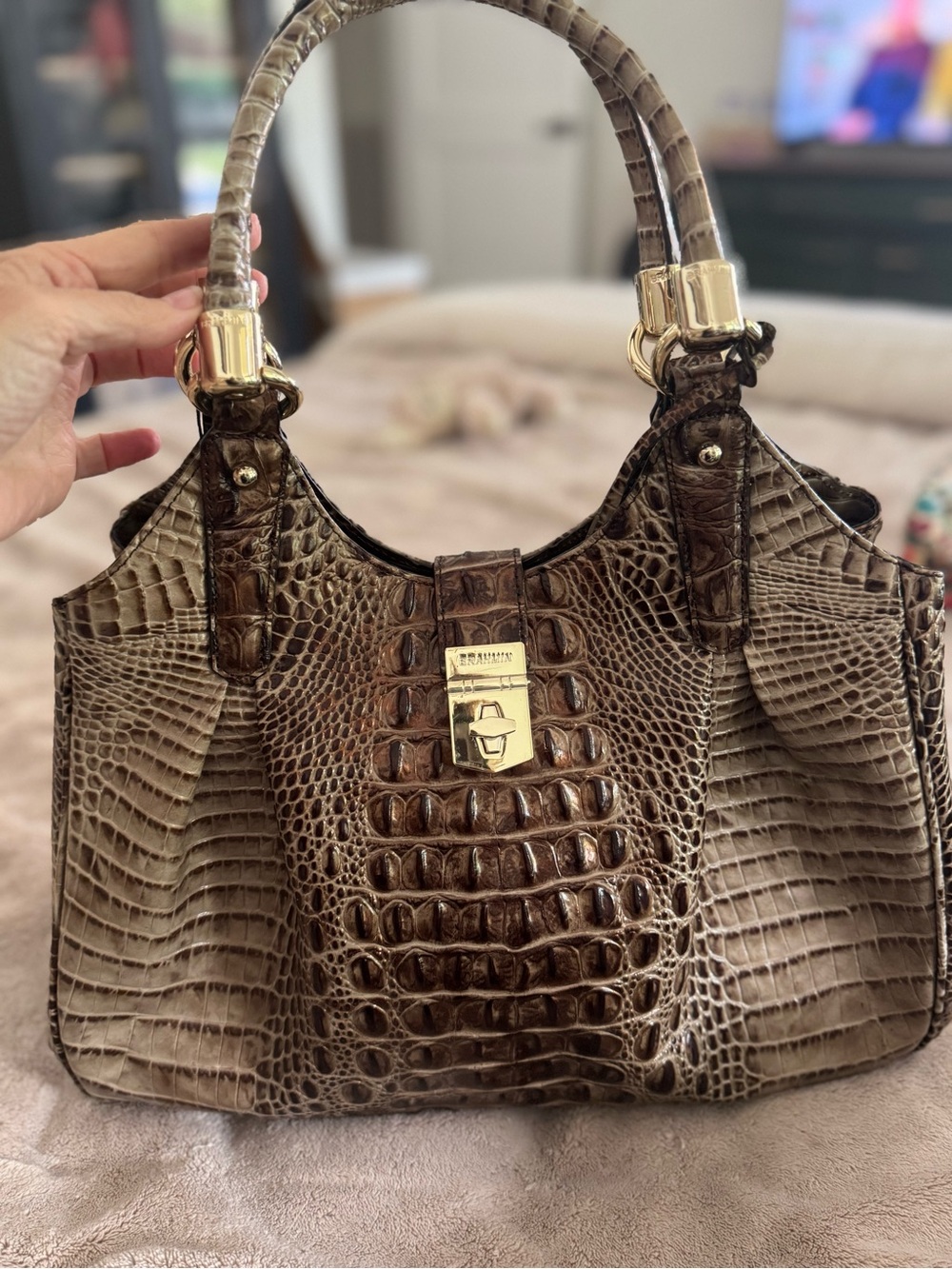 Brahmin Elisa Satchel NWT - Picture 10 of 11